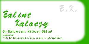 balint kaloczy business card