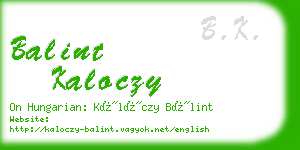 balint kaloczy business card